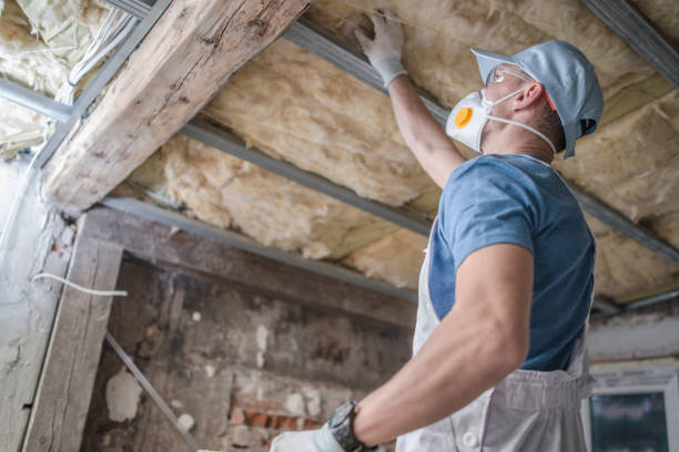 Best Eco-Friendly Insulation in Willows, CA
