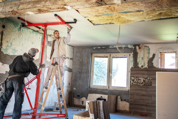 Best Cellulose Insulation in Willows, CA