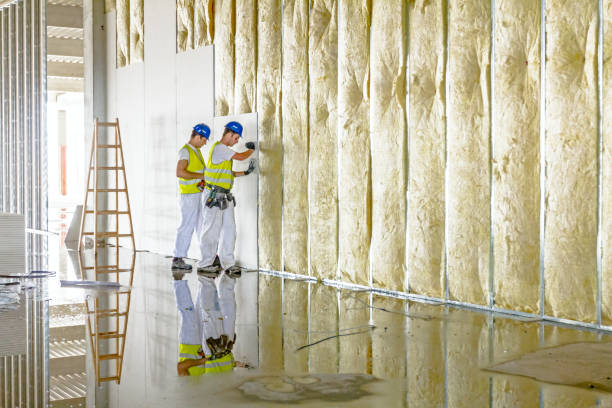 Best Specialized Insulation Services in Willows, CA